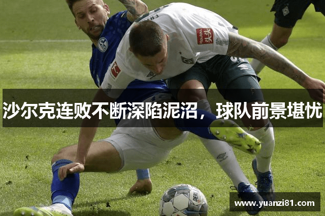 沙尔克连败不断深陷泥沼，球队前景堪忧