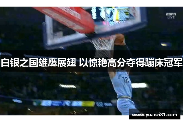 白银之国雄鹰展翅 以惊艳高分夺得蹦床冠军