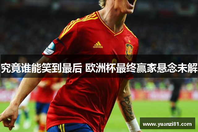 究竟谁能笑到最后 欧洲杯最终赢家悬念未解
