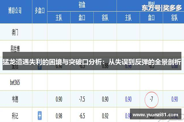 猛龙遭遇失利的困境与突破口分析：从失误到反弹的全景剖析