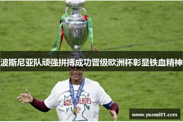 波斯尼亚队顽强拼搏成功晋级欧洲杯彰显铁血精神