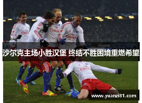 沙尔克主场小胜汉堡 终结不胜困境重燃希望