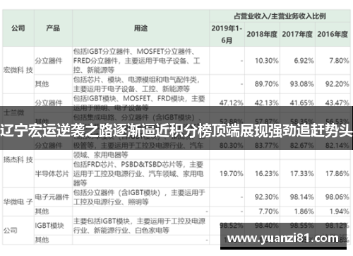 辽宁宏运逆袭之路逐渐逼近积分榜顶端展现强劲追赶势头