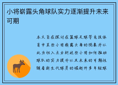 小将崭露头角球队实力逐渐提升未来可期