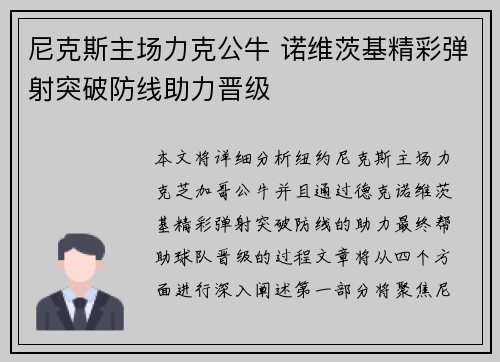 尼克斯主场力克公牛 诺维茨基精彩弹射突破防线助力晋级
