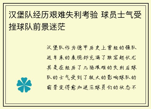 汉堡队经历艰难失利考验 球员士气受挫球队前景迷茫