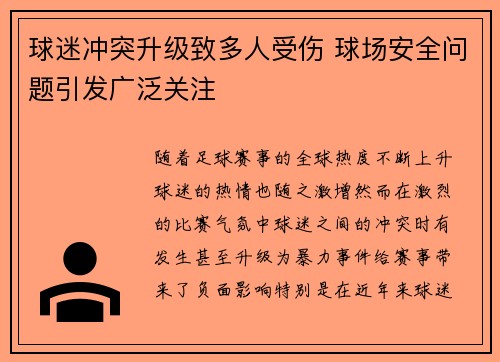 球迷冲突升级致多人受伤 球场安全问题引发广泛关注